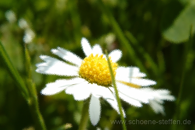 IMG_1690_2 Kopie.jpg